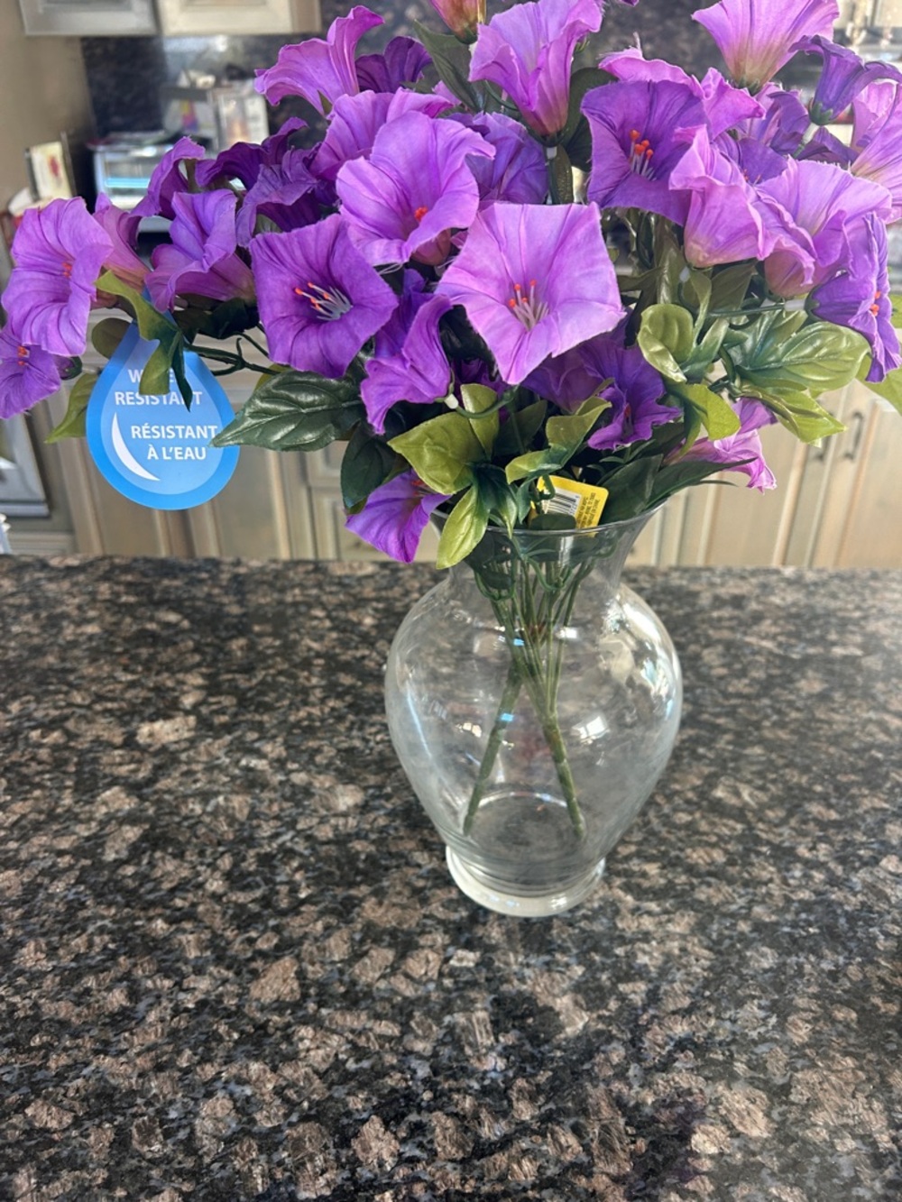 ASHLAND PURPLE PETUNIA BUSH LOT OF 2 NWT